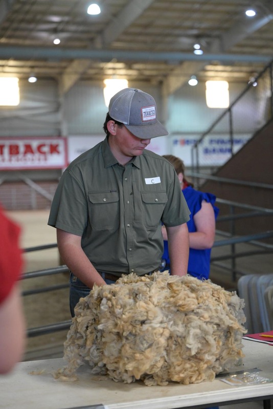 26SA-WoolJudging-4268.jpg
