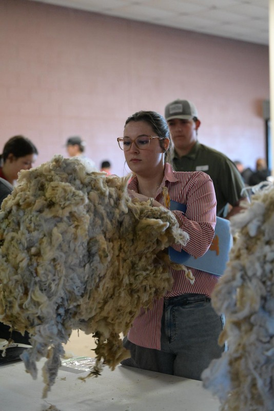 26SA-WoolJudging-4269.jpg
