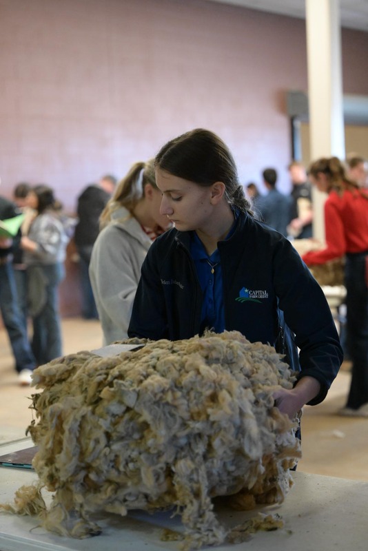 26SA-WoolJudging-4274.jpg
