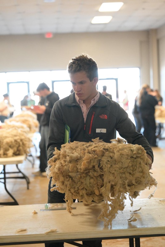 26SA-WoolJudging-4276.jpg
