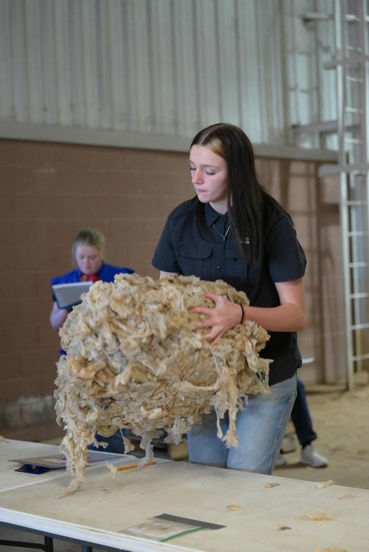 26SA-WoolJudging-4279.jpg