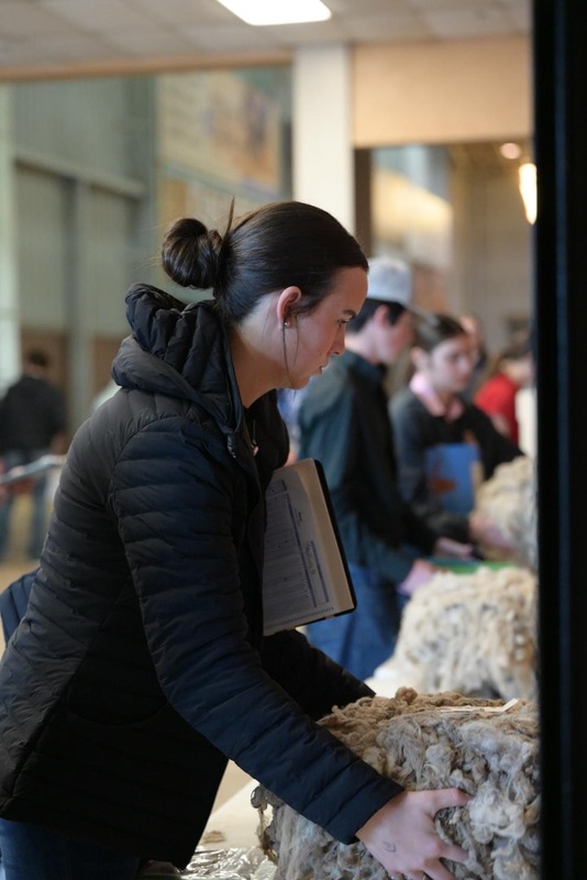 26SA-WoolJudging-4292.jpg