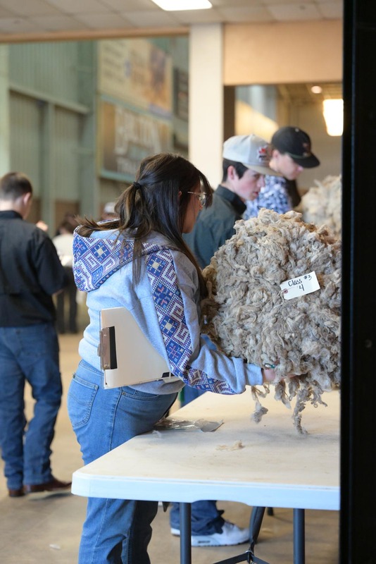 26SA-WoolJudging-4301.jpg