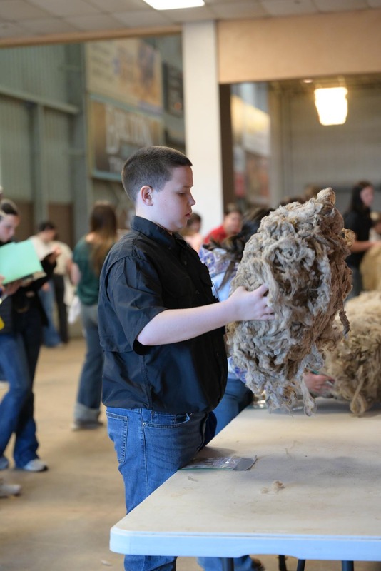 26SA-WoolJudging-4304.jpg