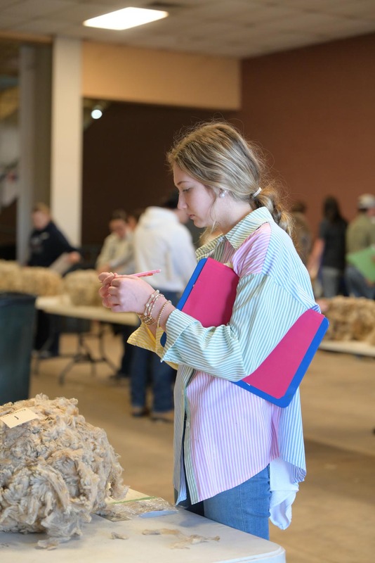26SA-WoolJudging-4305.jpg