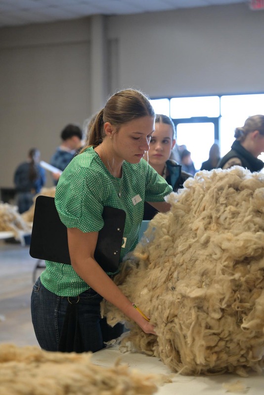 26SA-WoolJudging-4309.jpg
