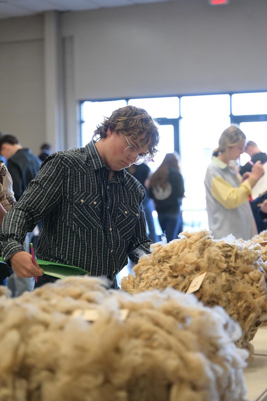 26SA-WoolJudging-4310.jpg