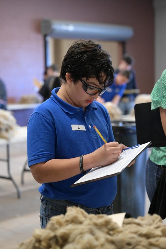 26SA-WoolJudging-4313.jpg