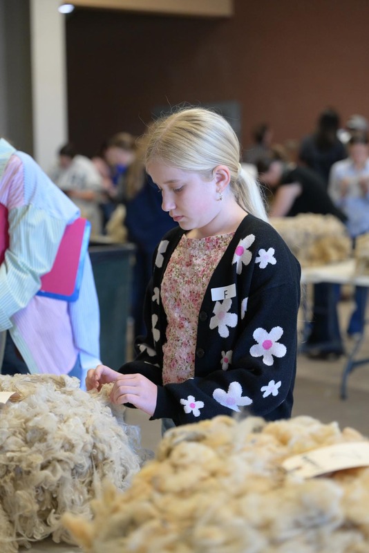 26SA-WoolJudging-4315.jpg