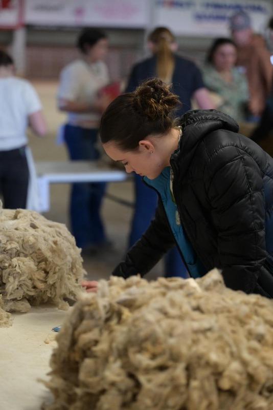 26SA-WoolJudging-4317.jpg