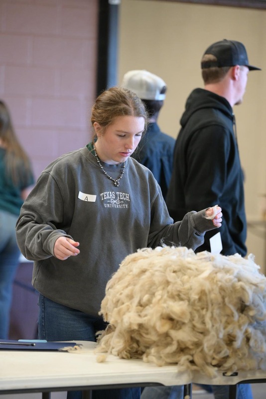 26SA-WoolJudging-4320.jpg
