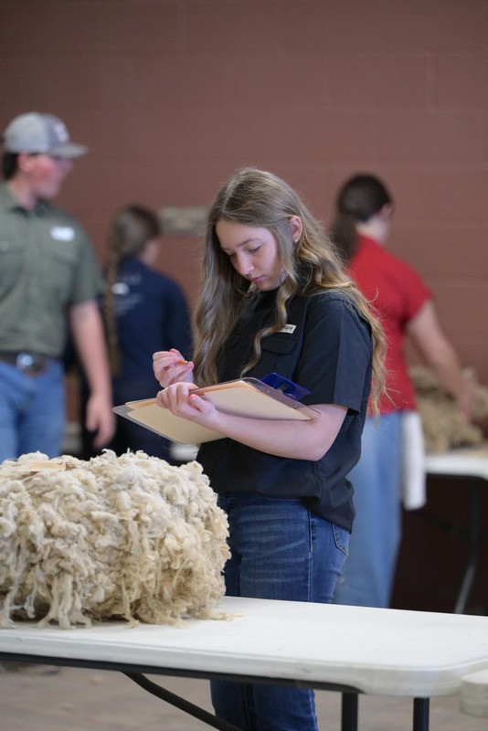 26SA-WoolJudging-4321.jpg