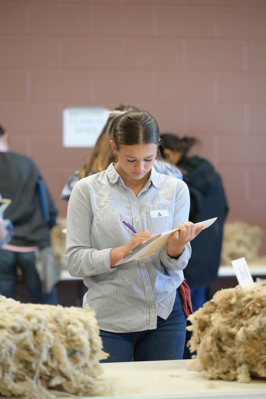 26SA-WoolJudging-4323.jpg