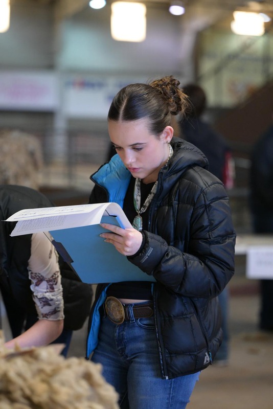 26SA-WoolJudging-4324.jpg