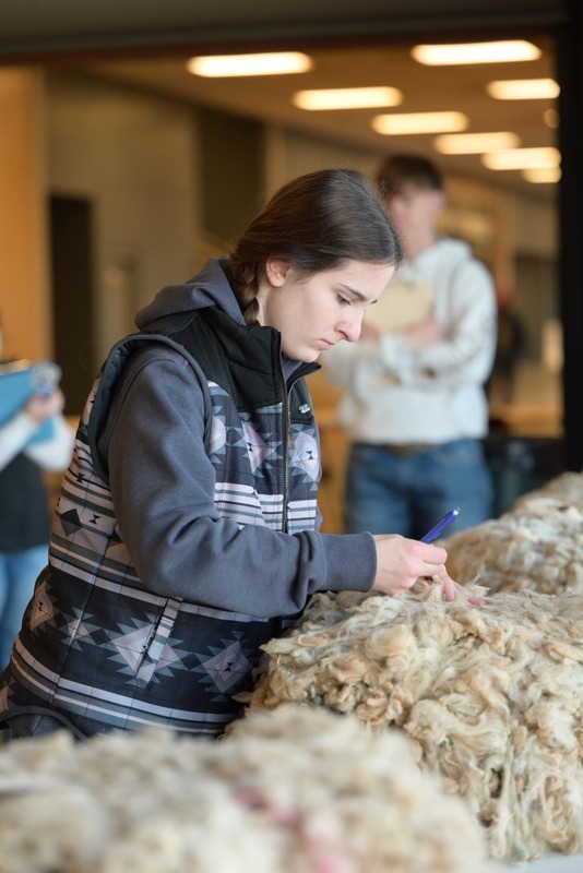 26SA-WoolJudging-4325.jpg