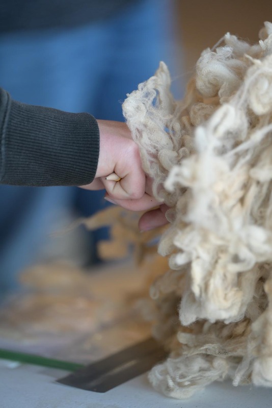 26SA-WoolJudging-4333.jpg