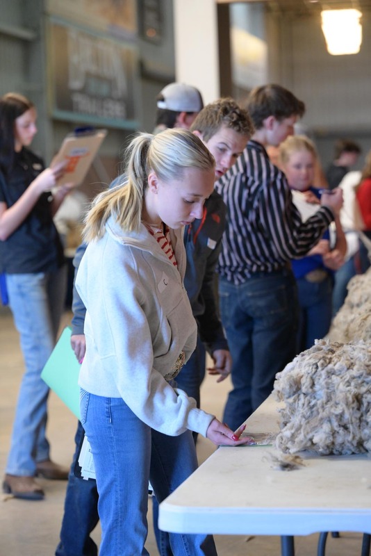 26SA-WoolJudging-4339.jpg