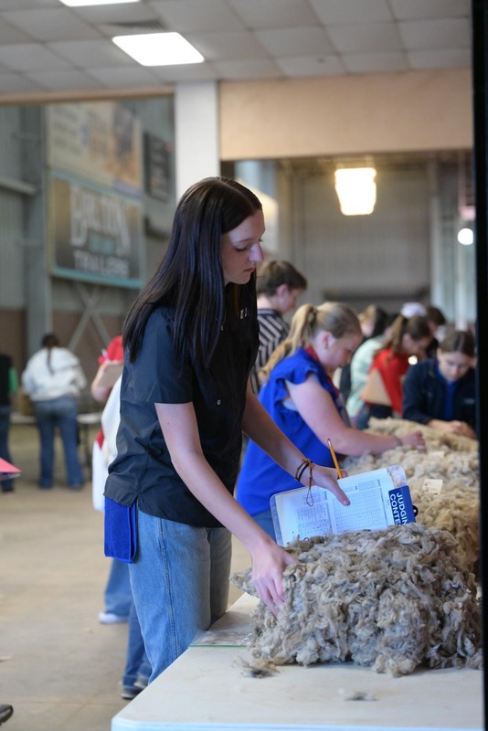 26SA-WoolJudging-4340.jpg