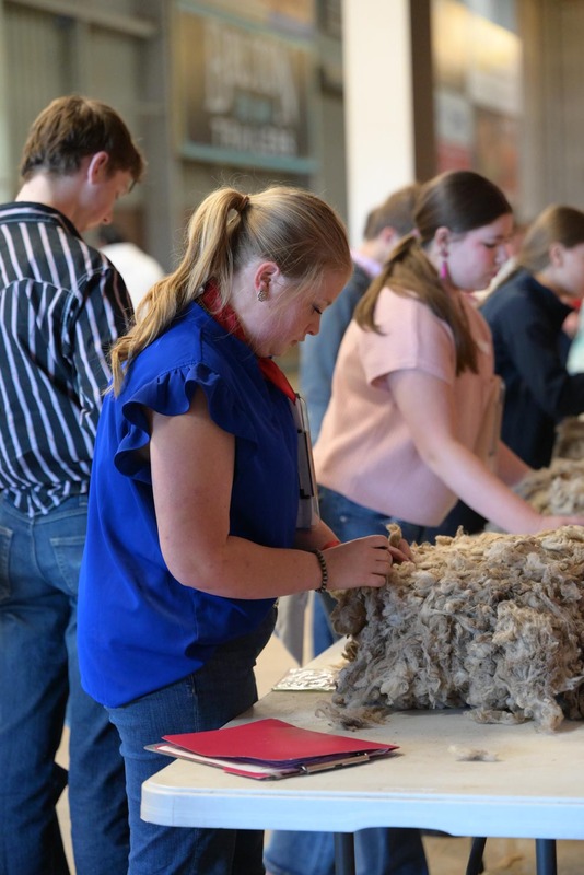 26SA-WoolJudging-4343.jpg