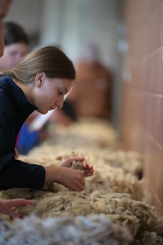 26SA-WoolJudging-4348.jpg