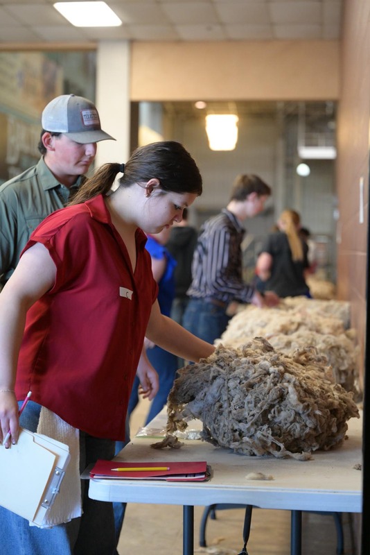 26SA-WoolJudging-4351.jpg