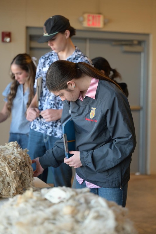 26SA-WoolJudging-4356.jpg