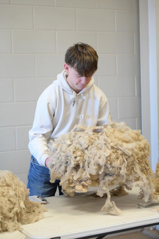 26SA-WoolJudging-4365.jpg