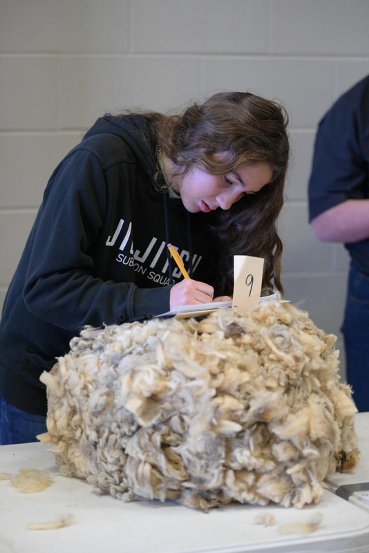 26SA-WoolJudging-4368.jpg