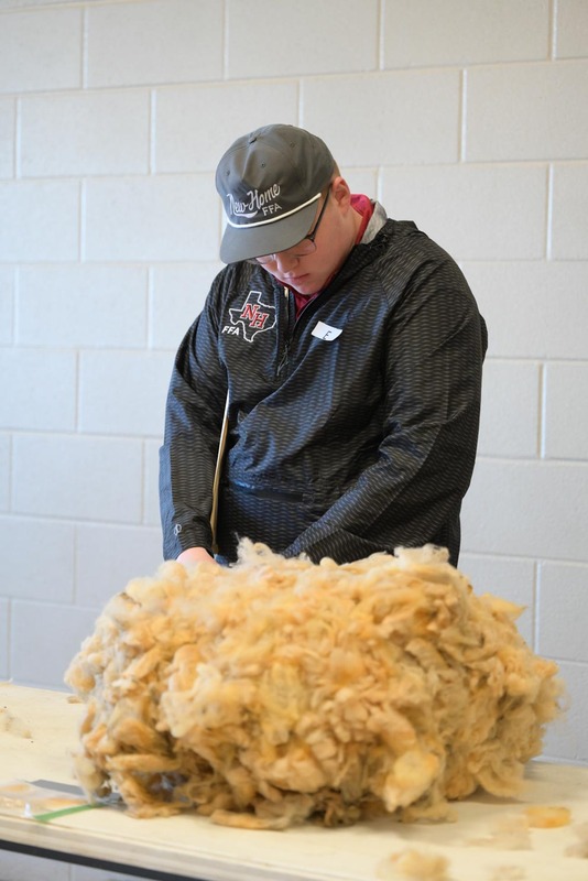 26SA-WoolJudging-4371.jpg