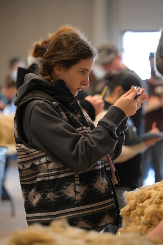 26SA-WoolJudging-4374.jpg