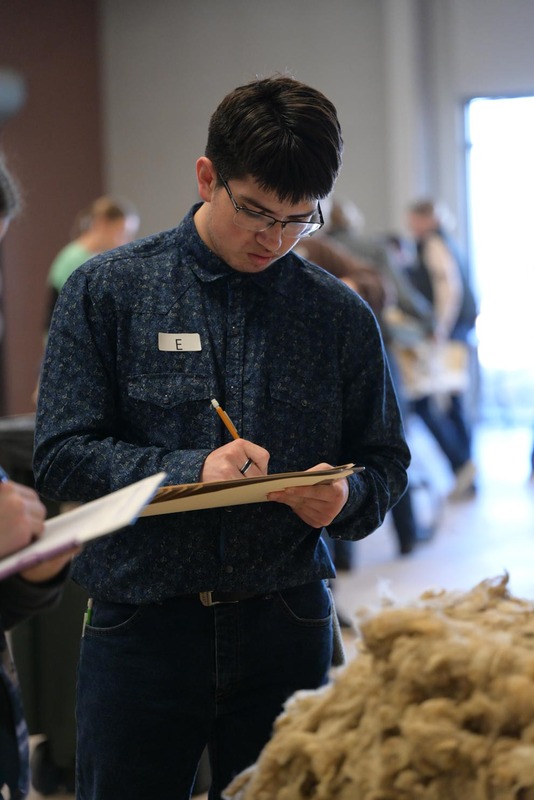 26SA-WoolJudging-4376.jpg