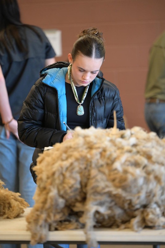 26SA-WoolJudging-4381.jpg