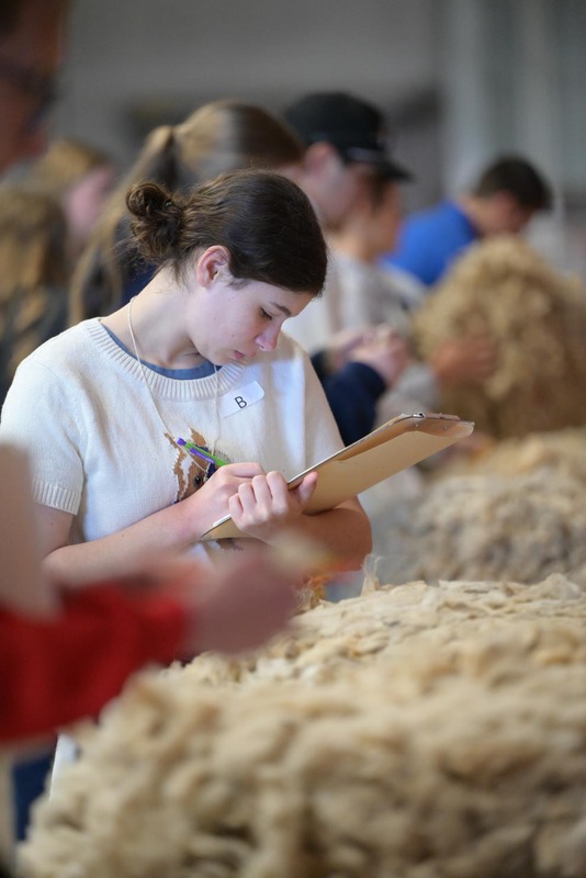 26SA-WoolJudging-4400.jpg