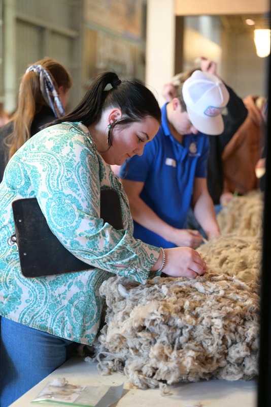 26SA-WoolJudging-4402.jpg