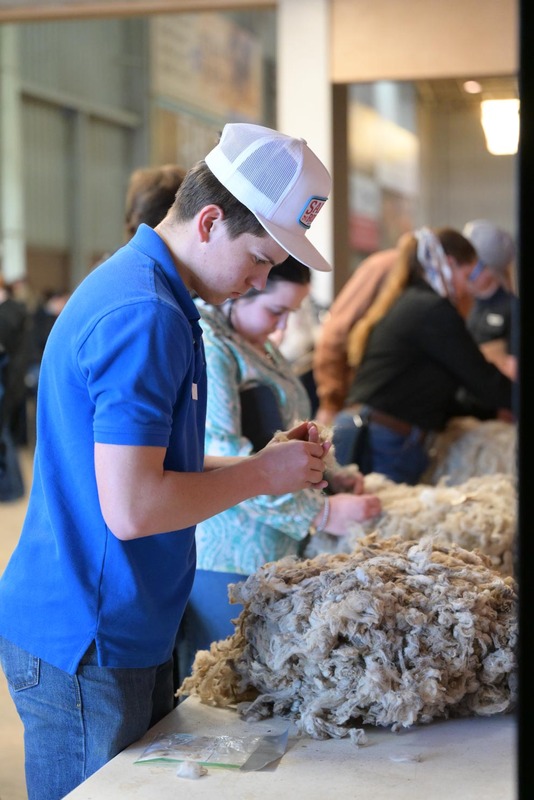 26SA-WoolJudging-4404.jpg