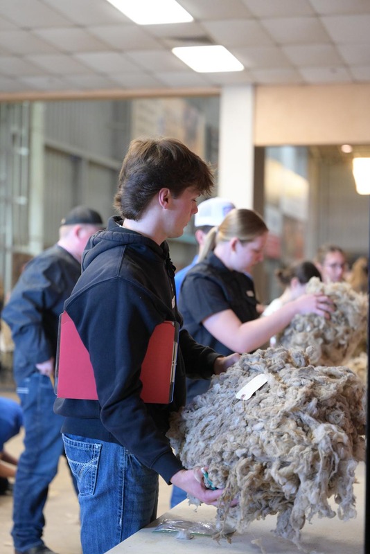 26SA-WoolJudging-4412.jpg