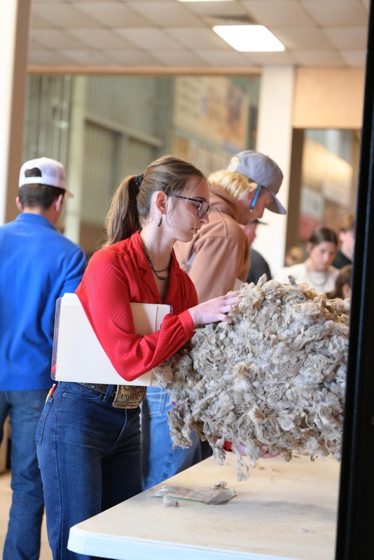 26SA-WoolJudging-4413.jpg
