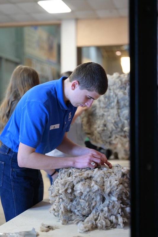 26SA-WoolJudging-4419.jpg