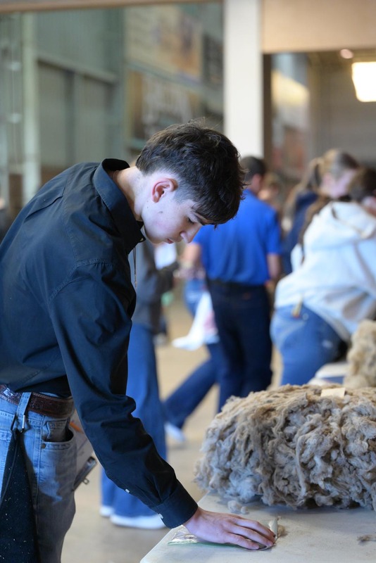 26SA-WoolJudging-4420.jpg