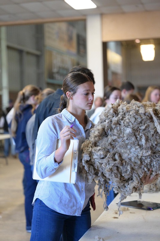 26SA-WoolJudging-4421.jpg