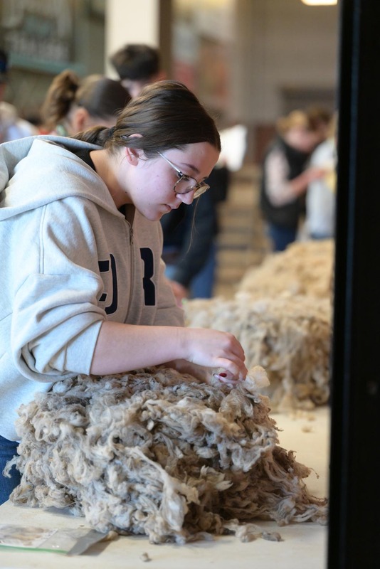 26SA-WoolJudging-4426.jpg