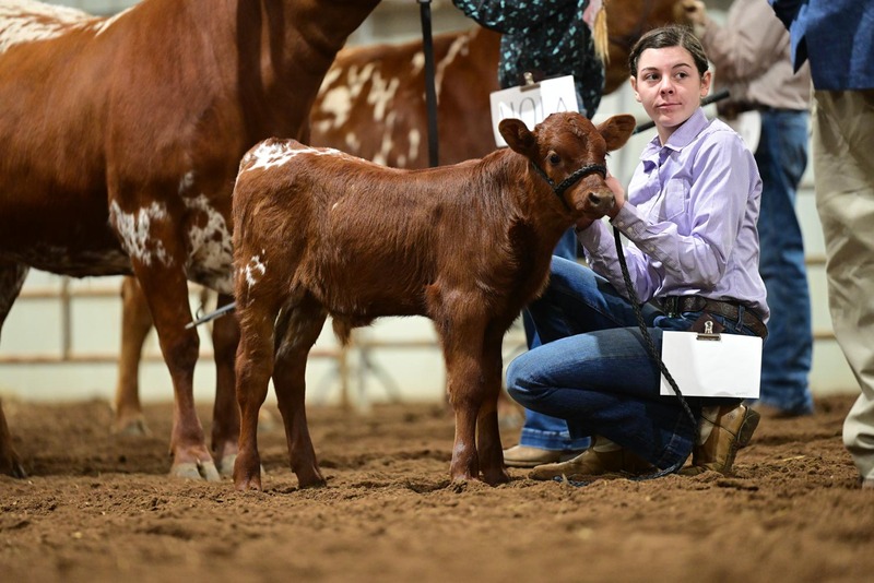 26SA-YthHeifHS-9516.jpg