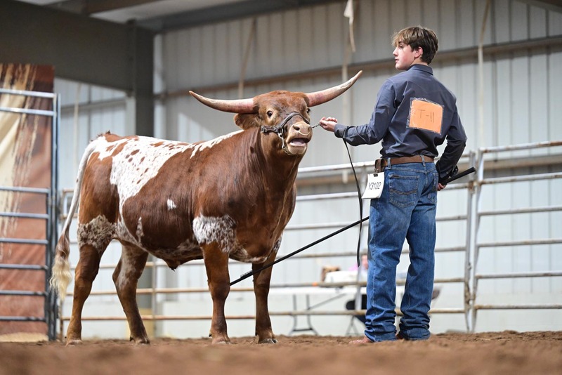 26SA-YthSteerHS-9822.jpg