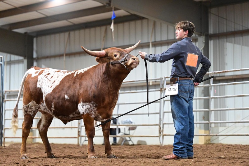 26SA-YthSteerHS-9827.jpg