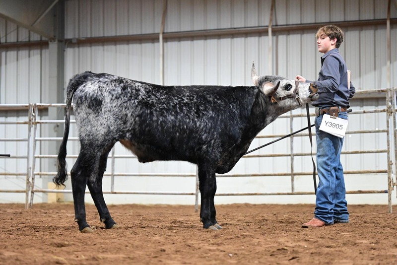 26SA-YthSteerHS-9924.jpg