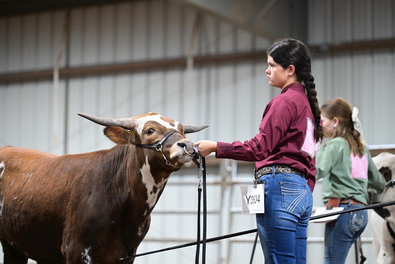 26SA-YthSteerHS-9946.jpg