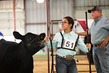 25RDC-Angus-8291.jpg