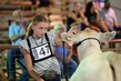 25RDC-BrahmanHS-7751.jpg