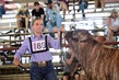 25RDC-BrahmanHS-7753.jpg