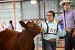 25RDC-Shorthorn-8555.jpg